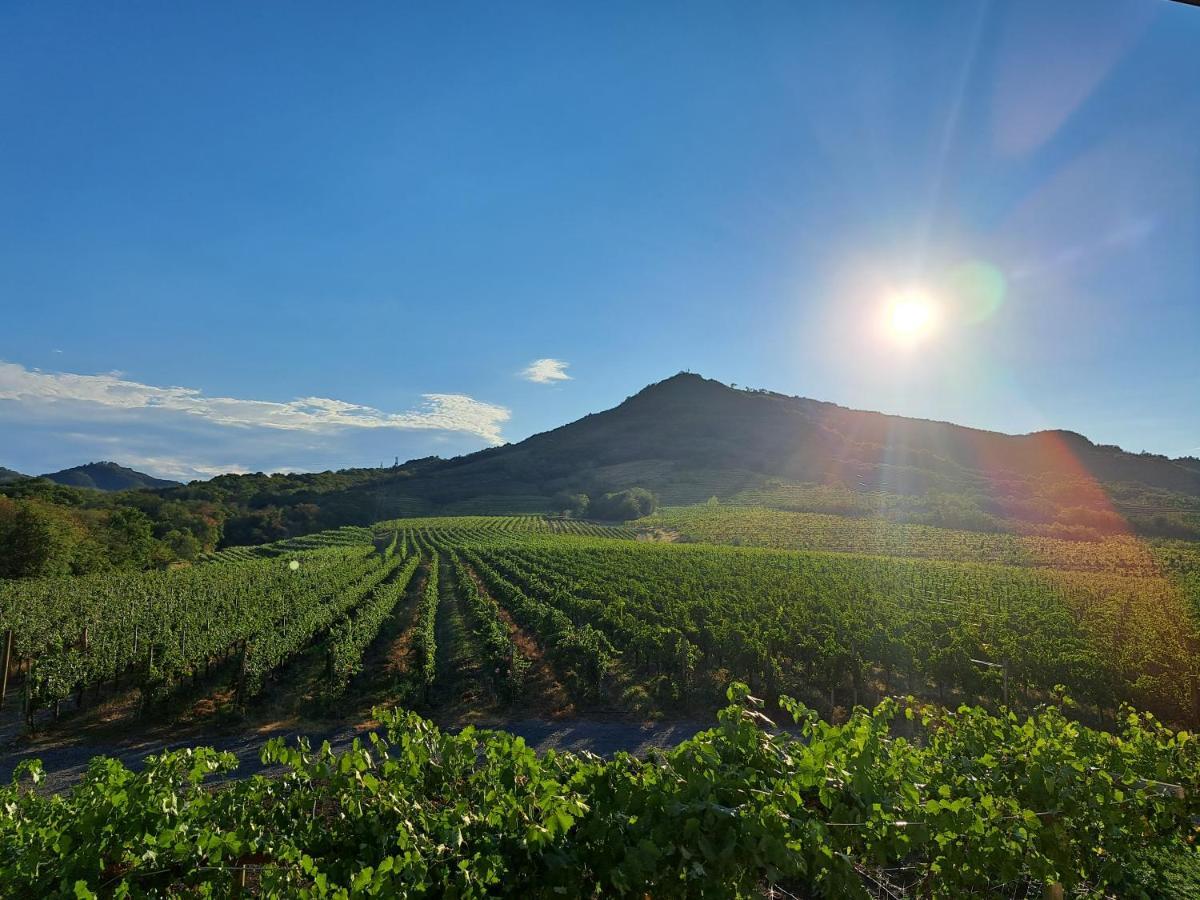 Posestvo Rouna - Winery And Apartments Vipava Exterior foto
