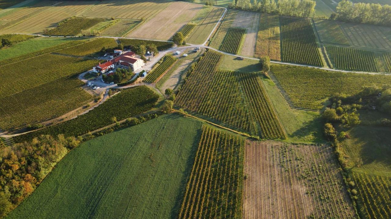 Posestvo Rouna - Winery And Apartments Vipava Exterior foto